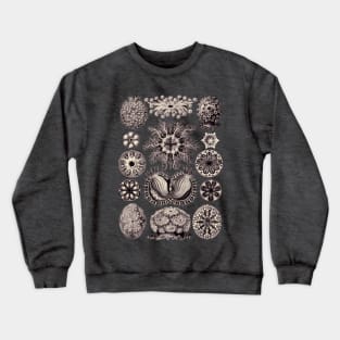 Ernst Haeckel Ascidiae Sea Squirts Aubergine Crewneck Sweatshirt